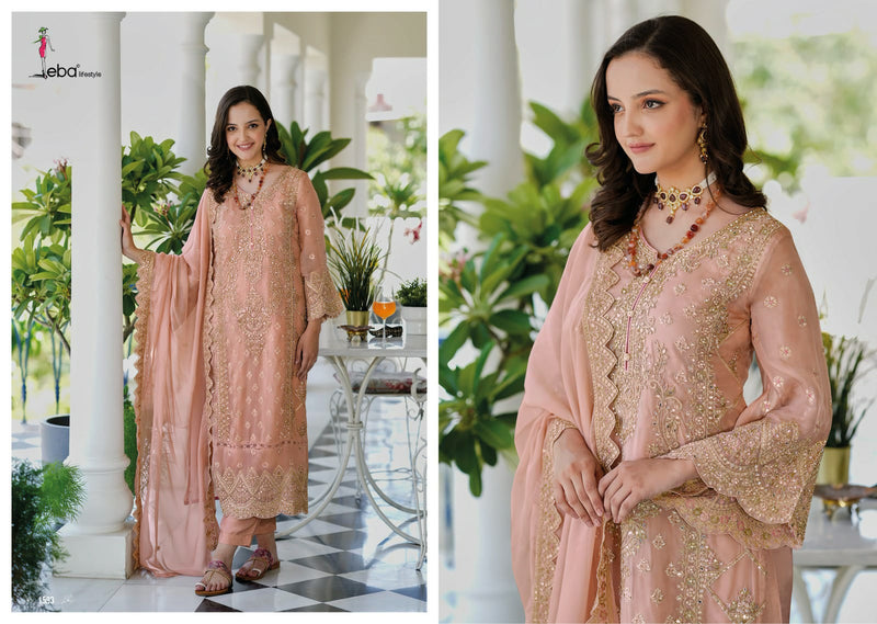 Eba Lifestyle Aanaya Organza Beautiful Embroidery Designer Suits