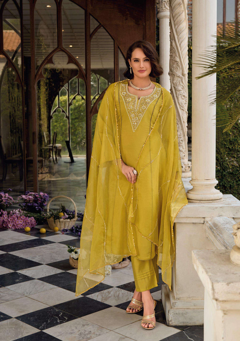 Lady Leela Rangeen Handwork Viscose Silk Fancy Designer Kurti