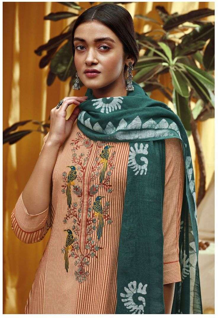Jay Vijay Numaish Cotton Beautiful Dress For Women