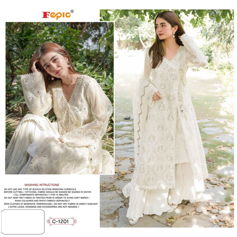 Fepic Rosemeen C 1201 Georgette Stylish Designer Pakistani Style Salwar Kameez